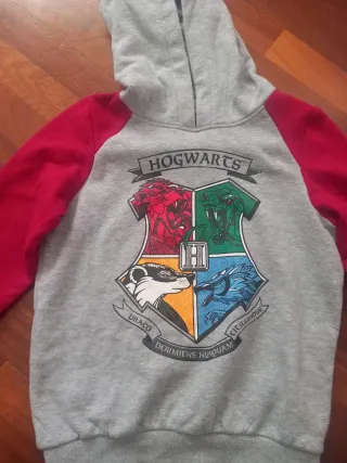Felpa Grigia Hogwarts Harry Potter 8/10 Anni