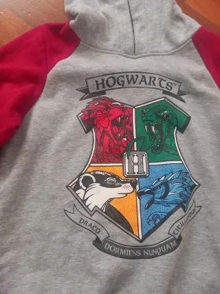 Felpa Grigia Hogwarts Harry Potter 8/10 Anni