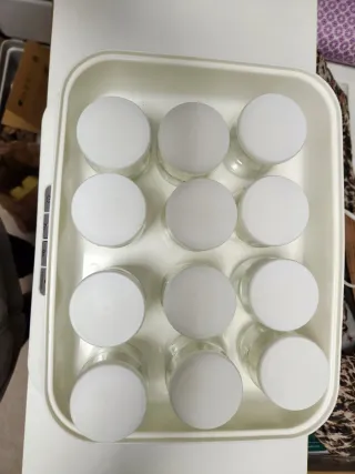 Yogurtera Russell Hobbs