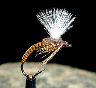 MOSCAS PARA LA PESCA DE TRUCHAS