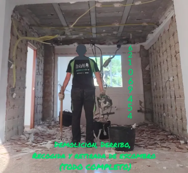 DesAlicatado escombros demolición limpieza derribo