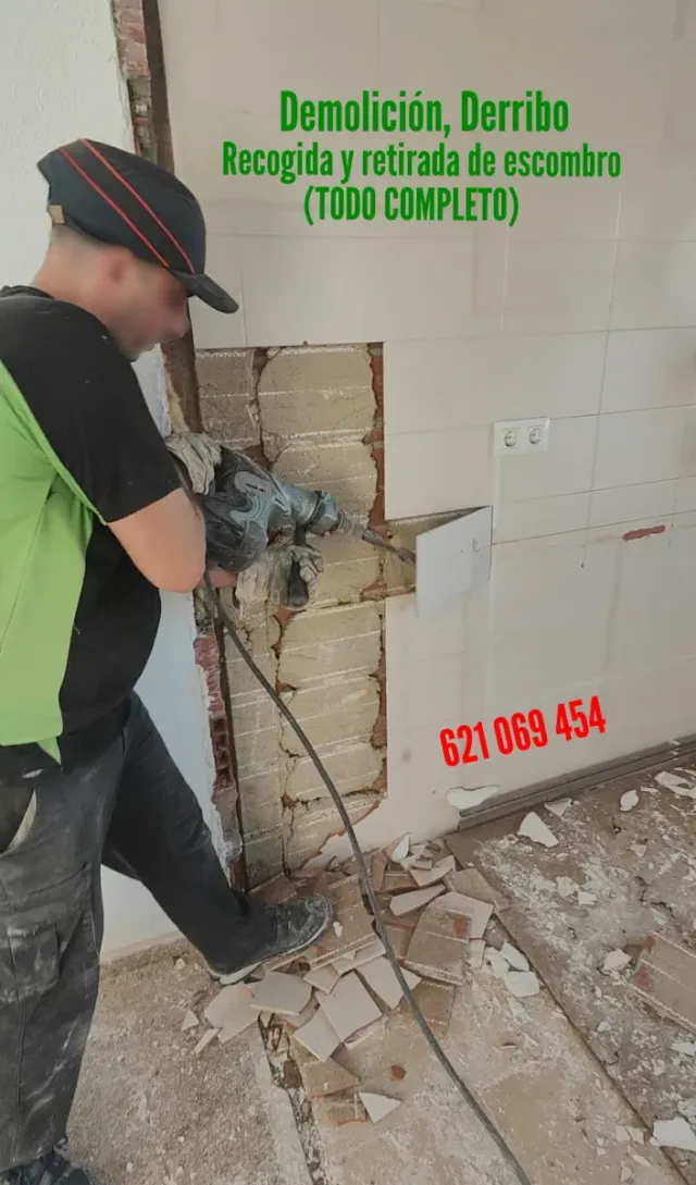 DesAlicatado escombros demolición limpieza derribo