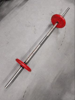 Barra y dos discos (peso 35kg)