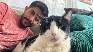 Cuidados en casa y paseos de perros.