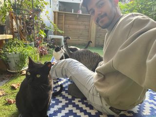 Cuidados en casa y paseos de perros.