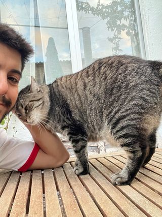 Cuidados en casa y paseos de perros.