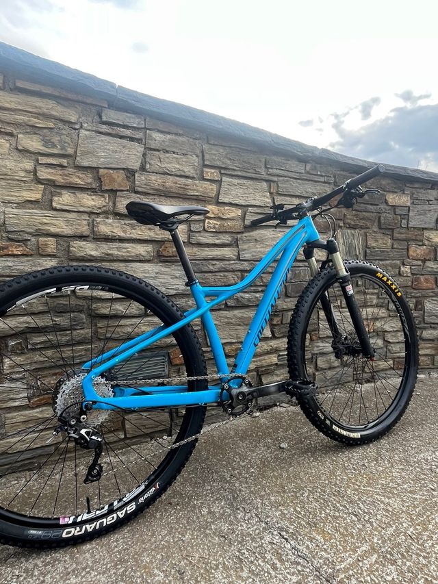 Bici MTB Specialized Fate 29” talla S