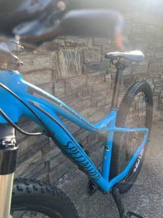 Bici MTB Specialized Fate 29" taglia S