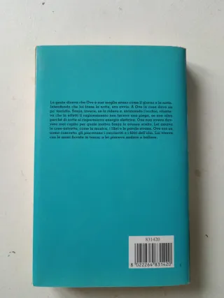 L'uomo che metteva in ordine il mondo