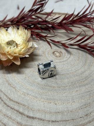 Charm Maleta Plata Paris