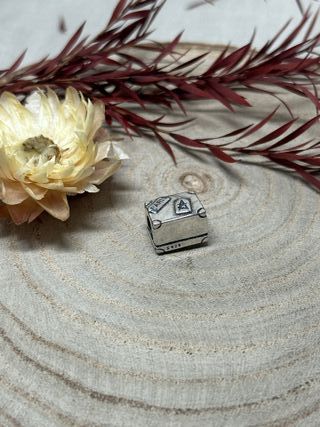 Charm Maleta Plata Paris