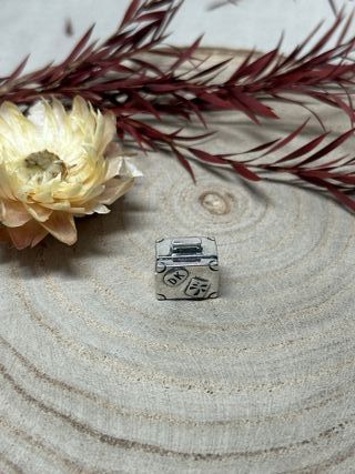 Charm Maleta Plata Paris