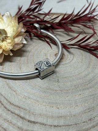 Charm Maleta Plata Paris