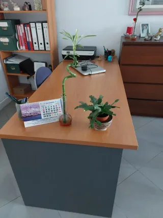 Mesa de despacho madera