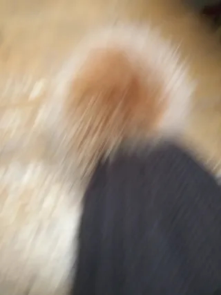 Cappellino Airoldi con pon pon