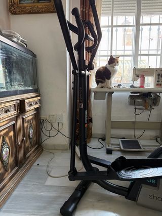 Elíptica Domyos C3.0 – 9 Programas + Bluetooth