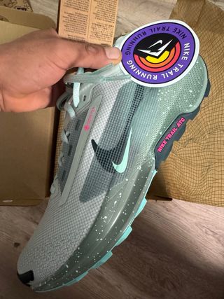 Zapatillas Nike Pegasus Trail GORE-TEX