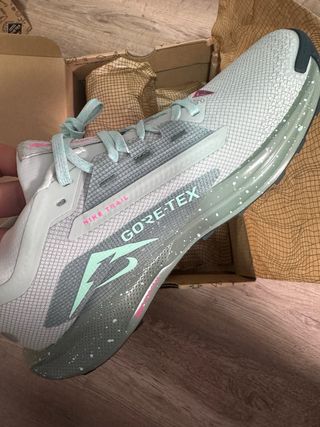 Zapatillas Nike Pegasus Trail GORE-TEX