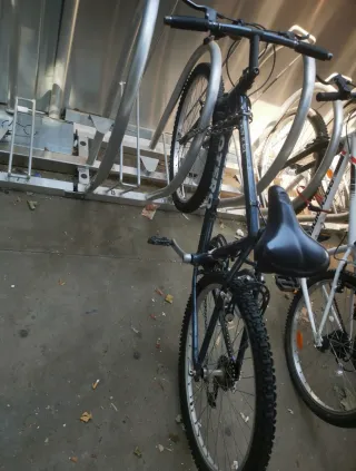 Bicicleta de montaña