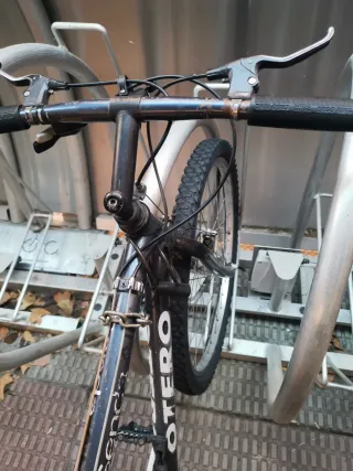 Bicicleta de montaña