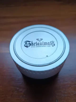 Reloj Skelanimals Caballero Cuarzo Correa Marrón