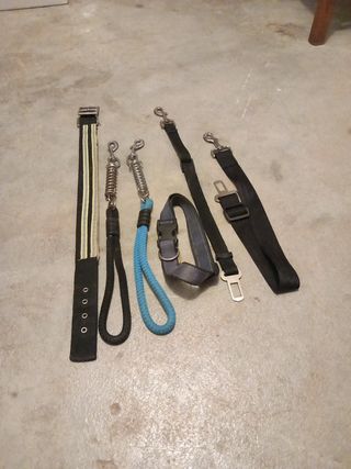 Lote correas y collar perro