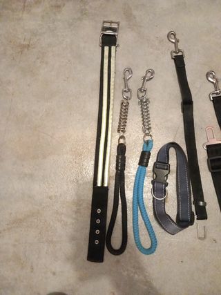 Lote correas y collar perro