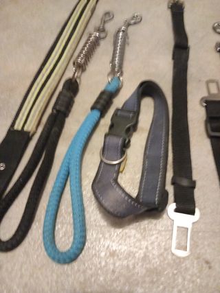 Lote correas y collar perro