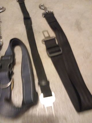 Lote correas y collar perro