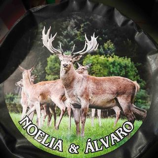 Mercedes Clase G Funda 4x4 Personalizada