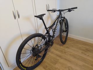 Bicicleta S-Works Epic Doble 29