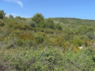 Terreno en venta en Benitachell/Poble Nou de Benitatxell (el)