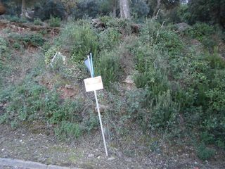 Terreno en venta en Torrelles de Llobregat