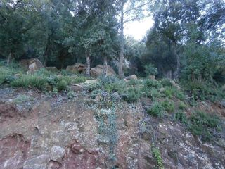 Terreno en venta en Torrelles de Llobregat