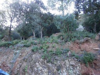 Terreno en venta en Torrelles de Llobregat
