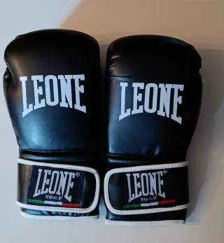 Guantes Boxeo 14 OZ nuevos, muñequeras y bolsa.
