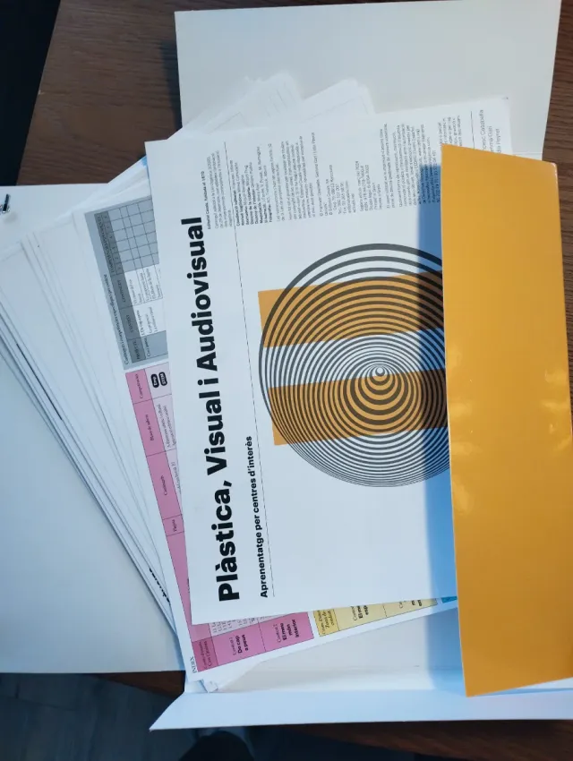 Plàstica, Visual i Audiovisual II ESO LOMLOE Ca...