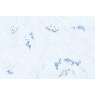 Tapete para Warhammer, Warcrow, 40K, Legion, AoS