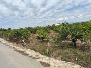 Casa rural en venta en Rojales en Rojales
