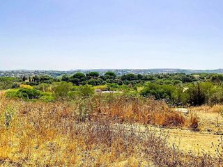 Terreno en venta en Sotogrande Alto en San Roque