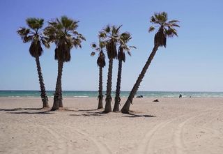 Terreno en venta en Canet d´En Berenguer