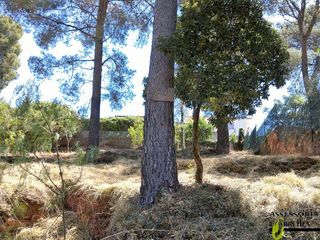 Terreno en venta en Torrelles de Llobregat