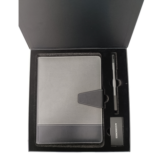 SYNC SMART PEN, BOLÍGRAFO Y CUADERNO INTELIGENTE