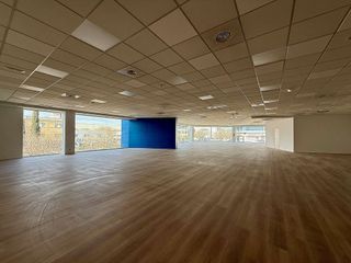 Oficina en alquiler en La Indioteria en Palma de Mallorca