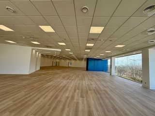 Oficina en alquiler en La Indioteria en Palma de Mallorca