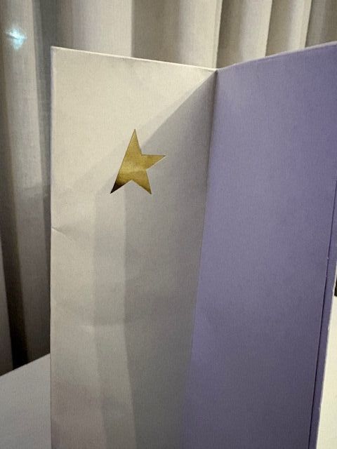 Busta Golden Goose originale