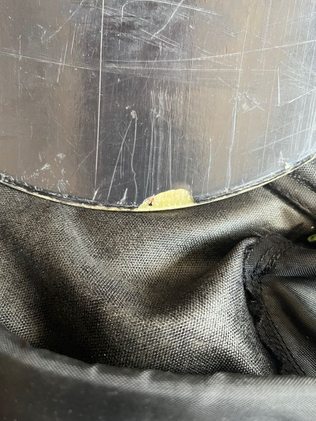 Tabla Snowboard Scott Impact