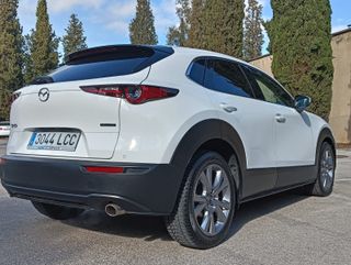 Mazda CX-30 Zenith Safety 2019