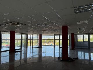 Oficina en alquiler en La Indioteria en Palma de Mallorca