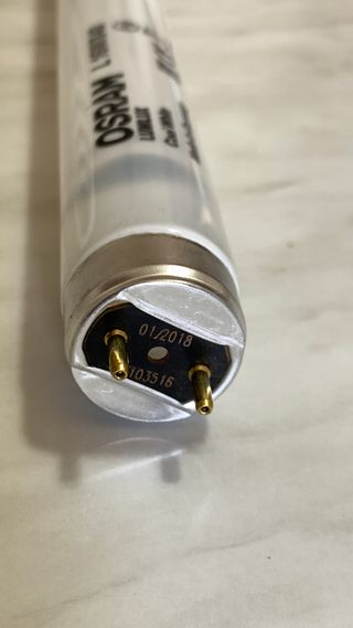 Tubo neon OSRAM L 16W/840 lumilux cool white 72 cm